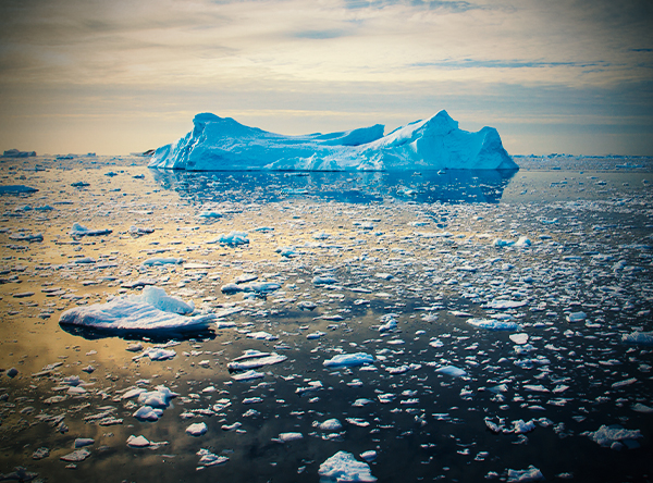Climate Action